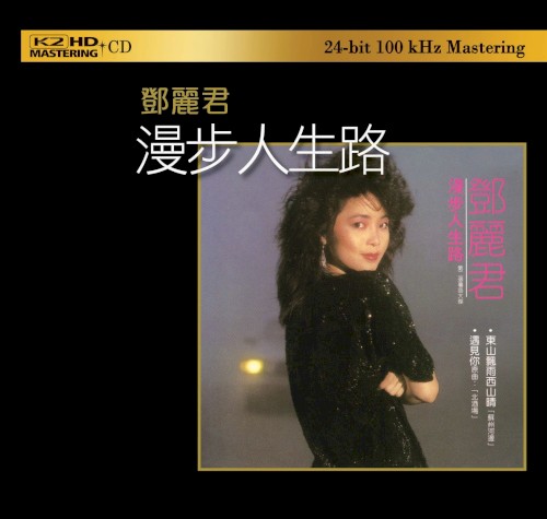 漫步人生路 cover