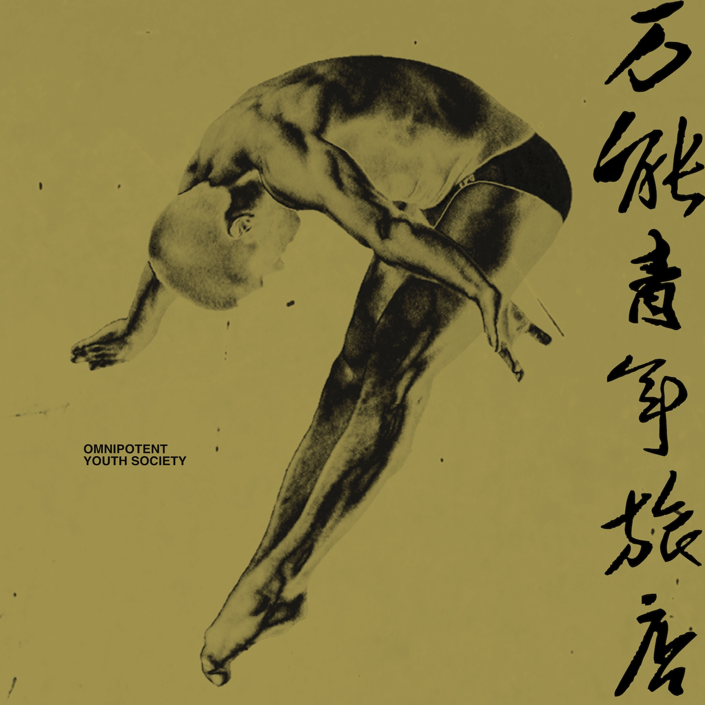 万能青年旅店 cover