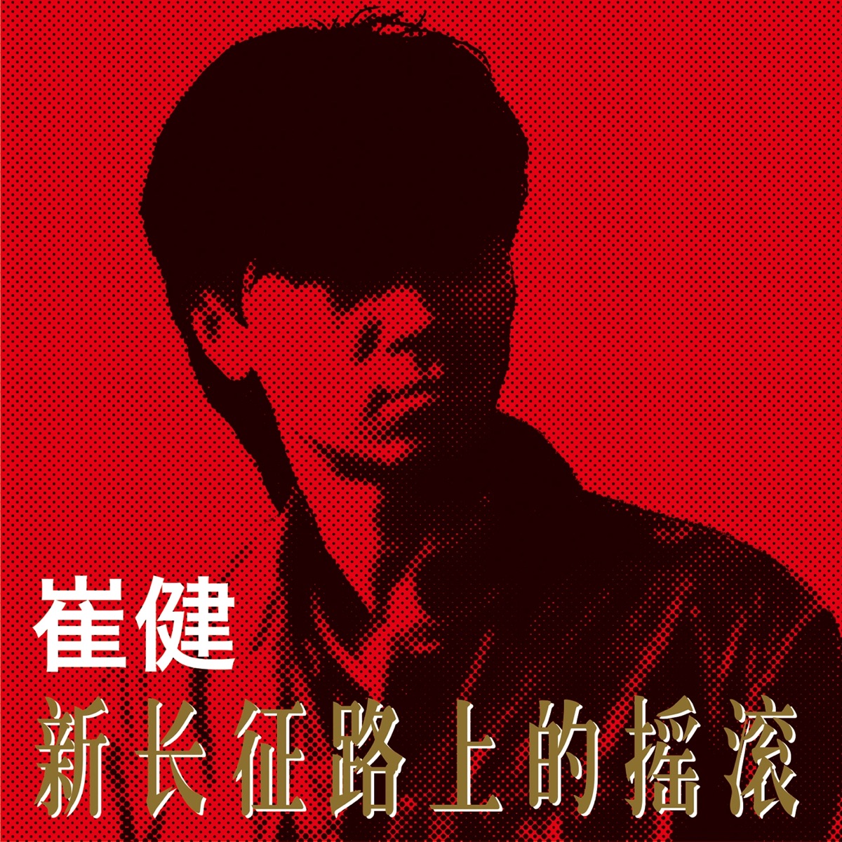 新长征路上的摇滚 cover