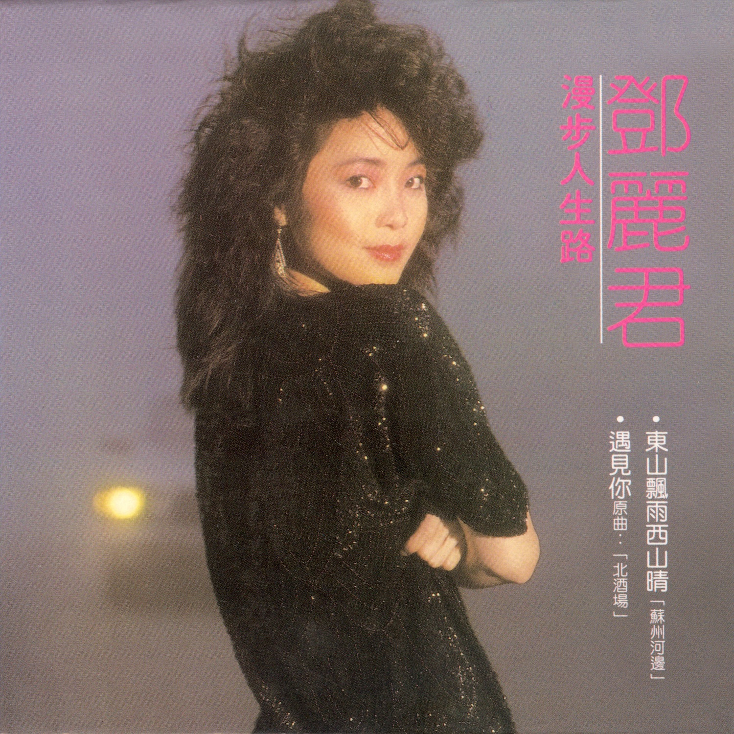 漫步人生路 cover